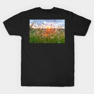 Wildflowers at Sunset T-Shirt